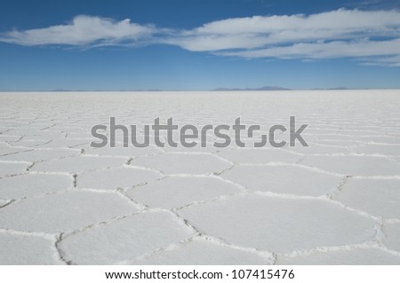 Polygonal patterns on salt flats, Salar de Uyuni,Potosi area,Bolivia,South America