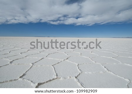 Polygonal patterns on salt flats, Salar de Uyuni,Potosi area,Bolivia,South America