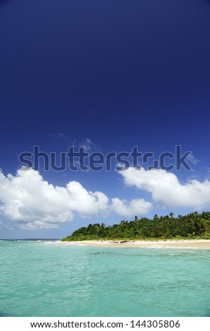 Clear waters, white sand beach and forest in tropical island. Bocas del Toro archipelago. Colon Island, Panama, Caribbean, Central America.