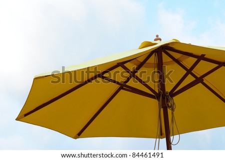 Patio umbrella with blue sky