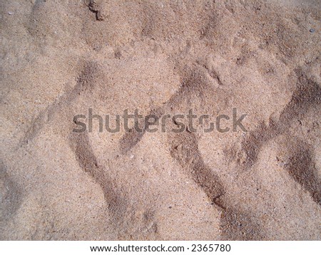 A patch of plain brown sand with car tire marks. Good for background, texture, copyspace.