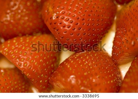 summer sweet strawberry cheese cake close up red ripe and looks ready to eat