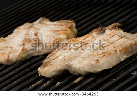 Pork chops on the grill.  Grill marks and close up detail