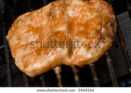 Pork chops on the grill.  Grill marks and close up detail