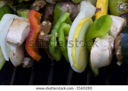 Beef shish ka bobs on the grill summer time is here cooking out has started.  Be sure to look for more bbq photo\'s in my portfolio.