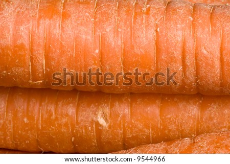 macro shot of the side of fresh ripe orange carrots