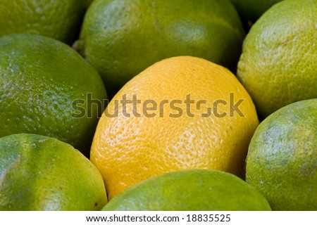 lemon lime orange fruit set close up and water drops in the set