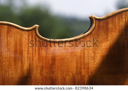 Maple back detail of a beautiful Cremonese violin, just hand-varnished. Shot taken in the nature.