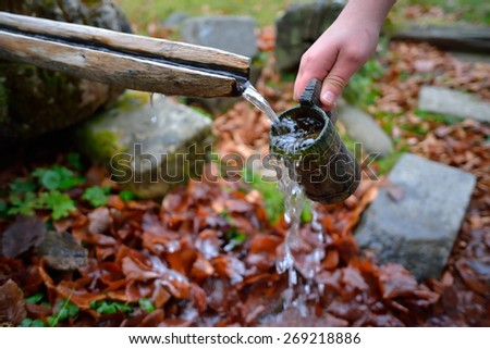 source of spring water flowing in the mountain