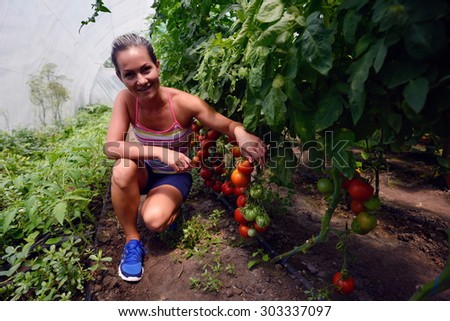 young woman picking fresh tomatoes