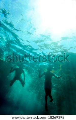 pics of people swimming. image of people swimming