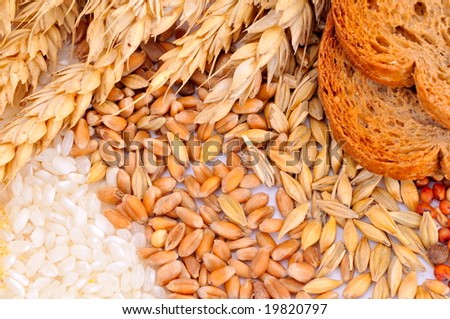 colorful cereal seeds and toasted bread