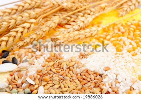 colorful cereal seeds as background