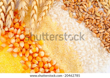 colorful cereal seeds and wheat ears