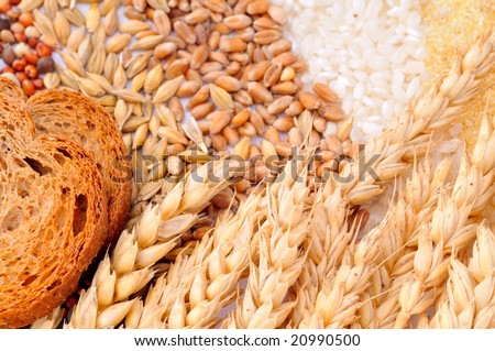 colorful cereal seeds background and toasted bread