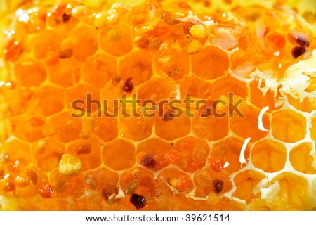 yellow honeycomb full with honey background