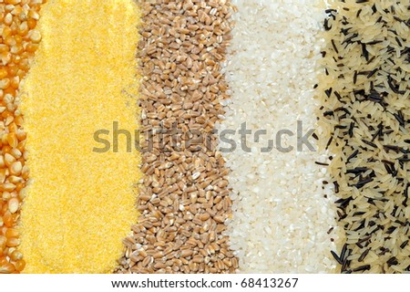 colorful cereal seeds background