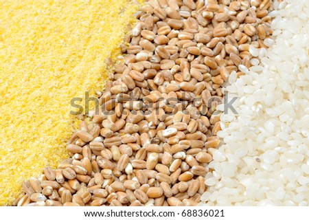 colorful cereal seeds