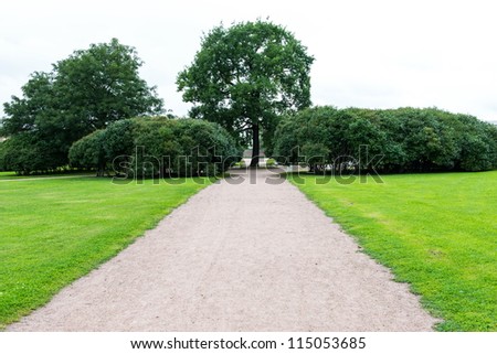 Straight road path with trees and grass along the side on a sunny day