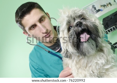 Dog on a veterinary consult