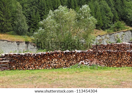 stack of firewood stacked for drying in the woodpile on the green meadow