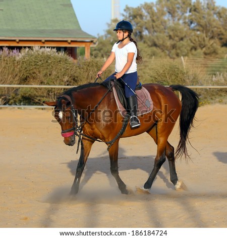A little girl getting a horseback riding lesson