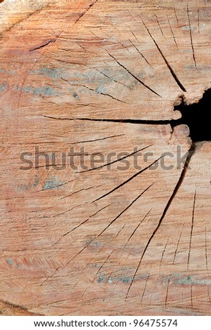 Detail of cut out log  texture  with broken  hole