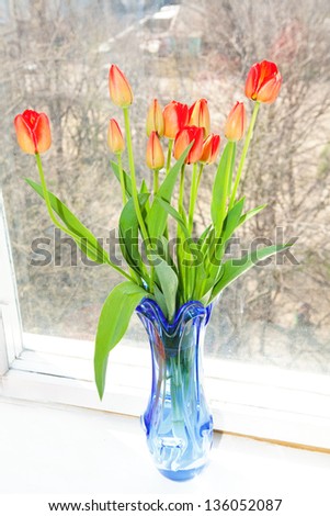 tulips in the vase on the window