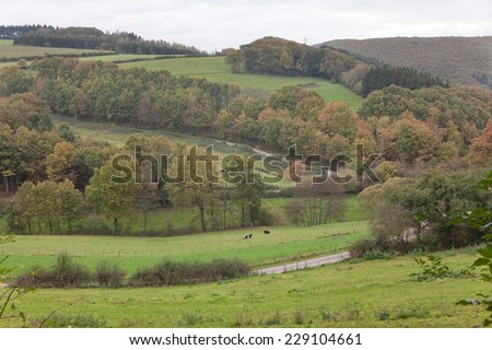 peaceful scene with pastures