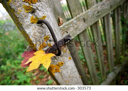 Autumn sheet on an old fence
