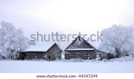 Old Rural Farm winter Scene