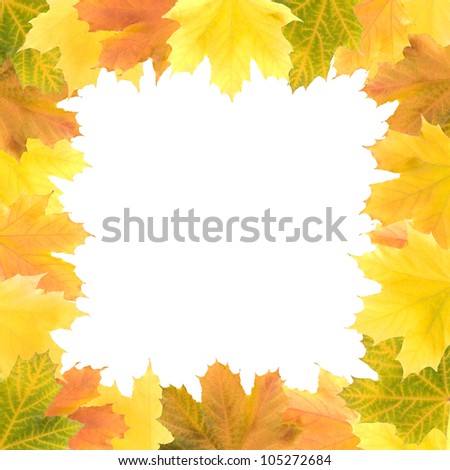 square frame of green, red, yellow, orange maple leaves.