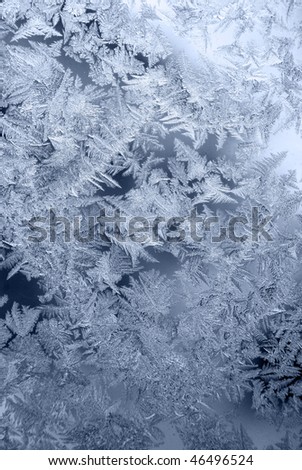 frosty pattern on winter window