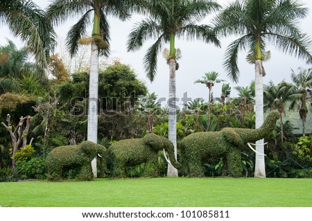 Ivy in the shape of  three elephants with palm trees in the background