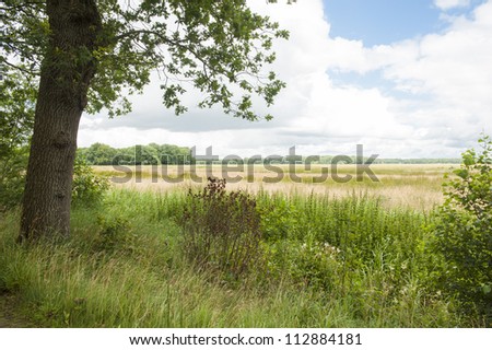 Beautiful flat landscape of Holland