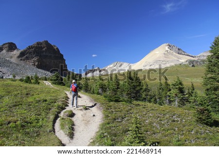 Woman Hiking Along the Tree Line on an Alpine Trail in Summer - Jasper National Park, Canada