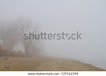 A foggy morning on the Shoreline of Lake with two people in the distance walking away.