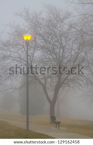 Fog, park bench and street light view. Portrait image, Colorado fog set in and hung around late morning setting the mood in the park.