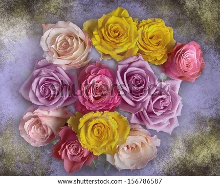 Close-up of beautiful mixed colorful bouquet of roses with colors of yellow, red, pink, lavender and purple on a texture background.