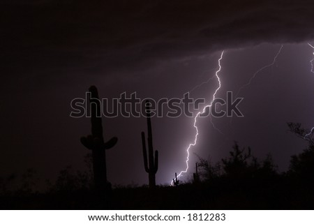 Lightning Strike in the high desert.