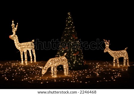 Red Nosed Reindeer with christmas tree. White lights.