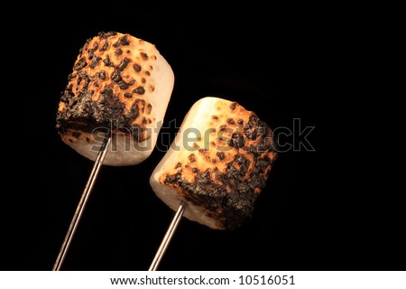 Two roasted marshmallow on a campfire fork with a black background.
