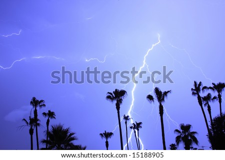 Lightning Thunder Storm, with palm tress and a blue night time sky.
