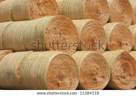 Close up stacked up large freshly baled round hay bales. Gold and green in color.