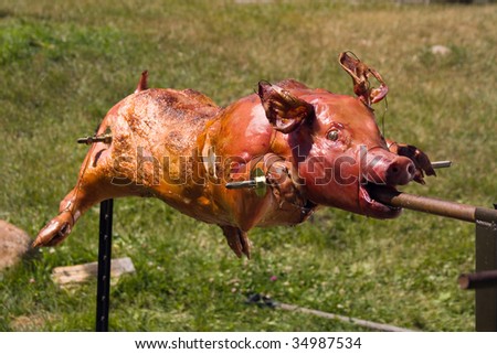 You couldn't make it up ! - Page 6 Stock-photo-golden-whole-roasted-pig-on-a-spit-spit-roasting-is-a-traditional-international-luau-method-of-34987534