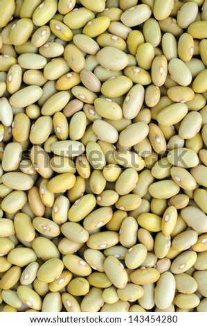 Peruvian Canary (Peruano) Beans (yellow and green color)