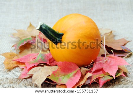 Thanksgiving and Fall season decoration with pumpkin and foliage maple leaves