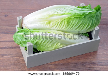 roman heart lettuce on table