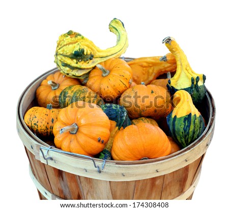 Bumpy gourds and mini pumpkins in wooden bucket, isolated on white.