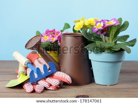 Spring gardening with tool and flower on the table